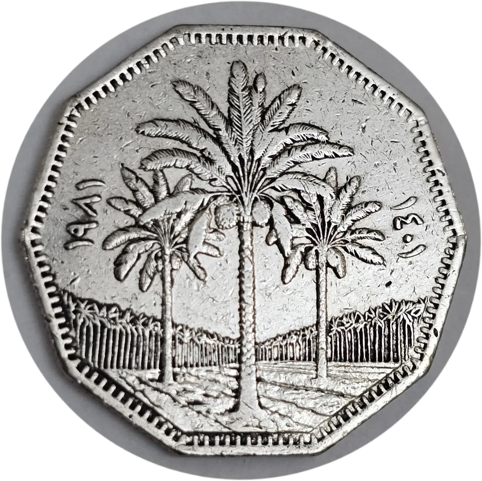 سکه عراق 1 دینار عراق 1981